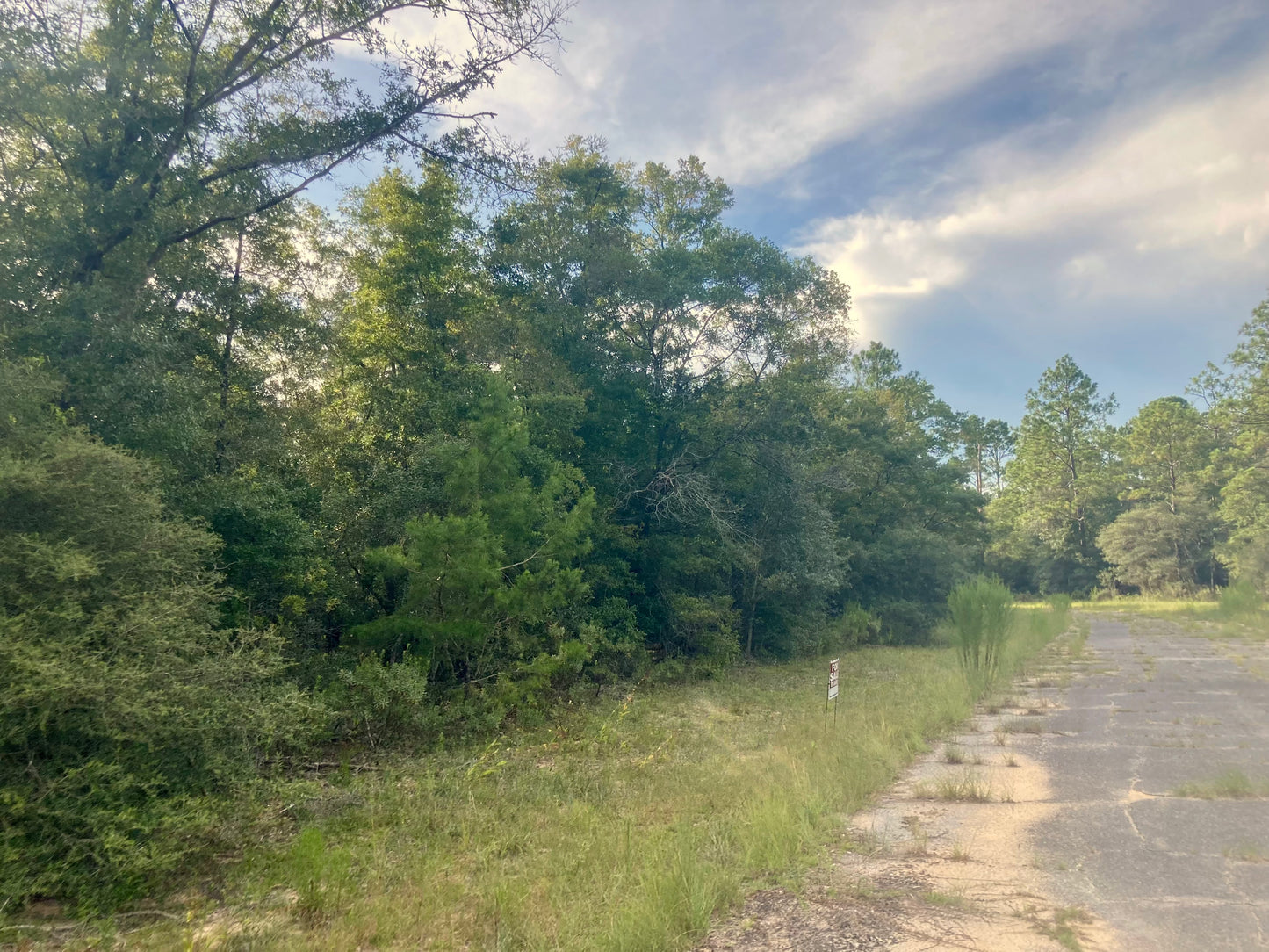 0.23 Acres Of Land For Sale In Chipley