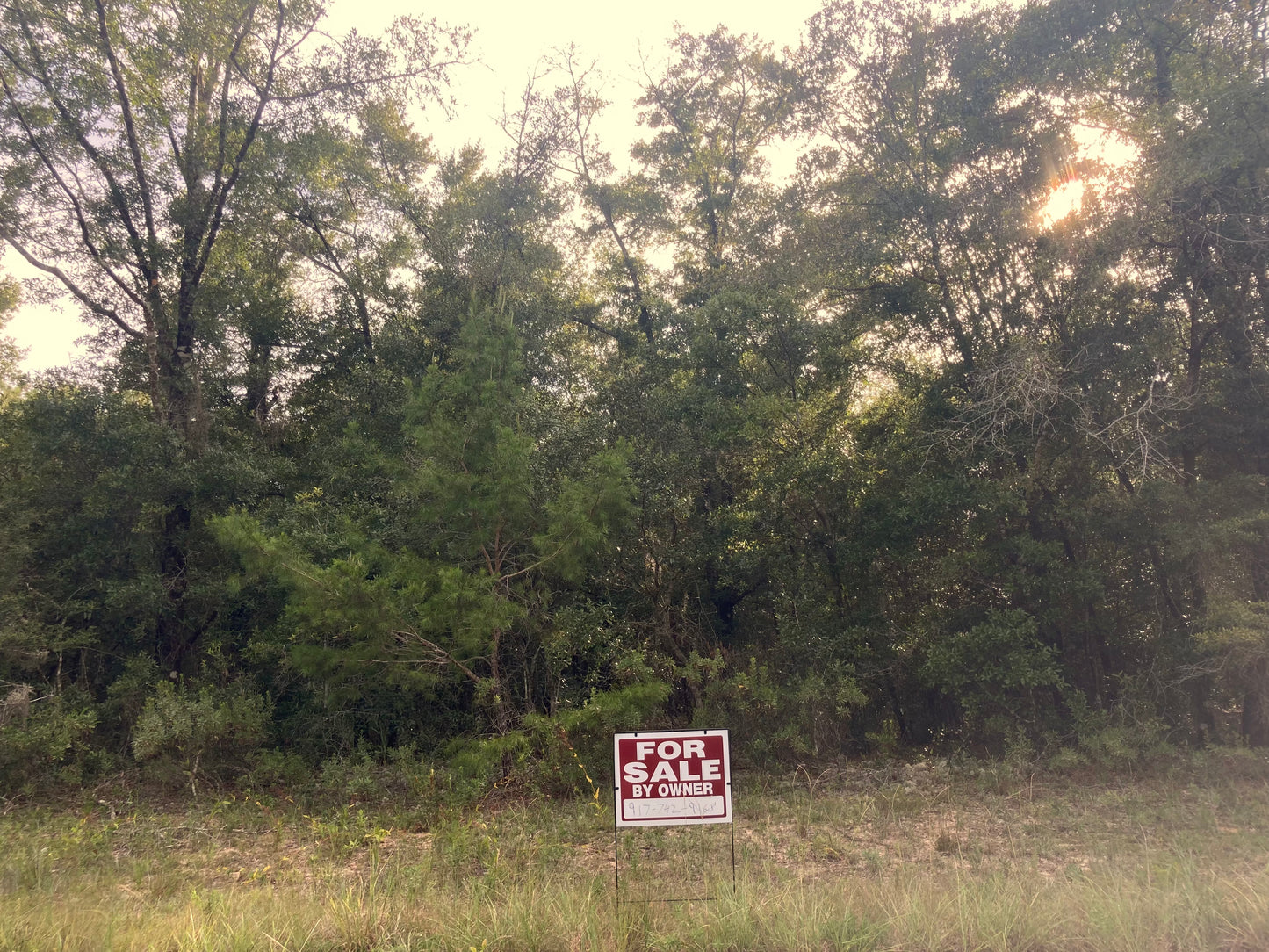 0.23 Acres Of Land For Sale In Chipley