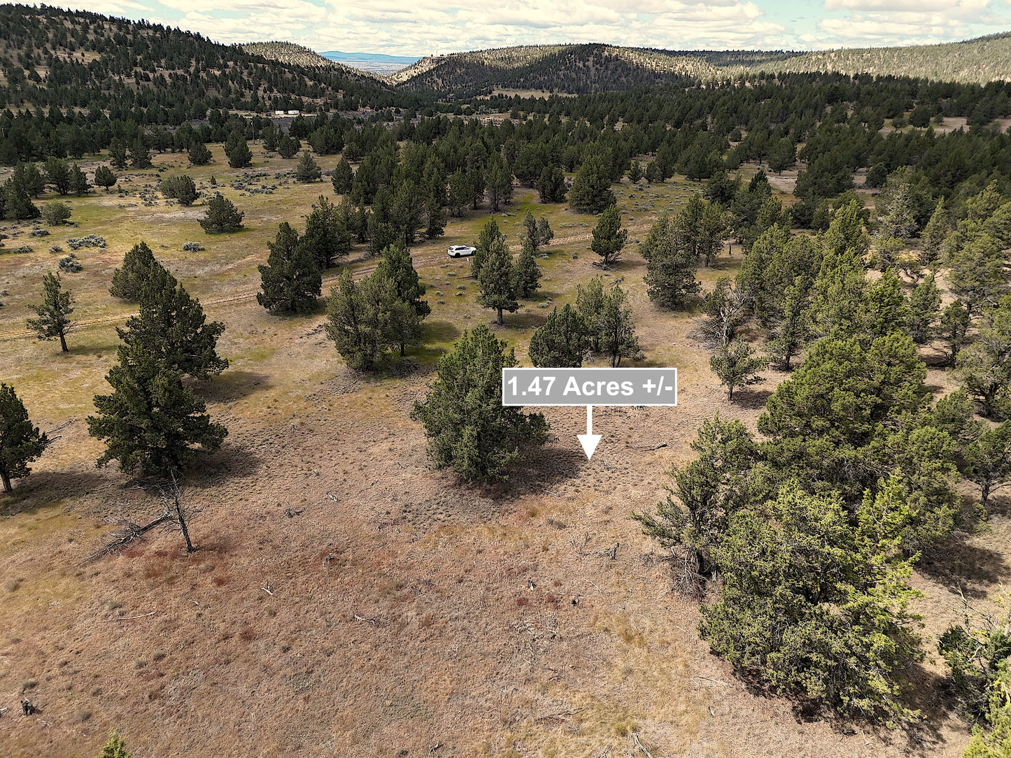 1.47 Acres Land In Alturas CA