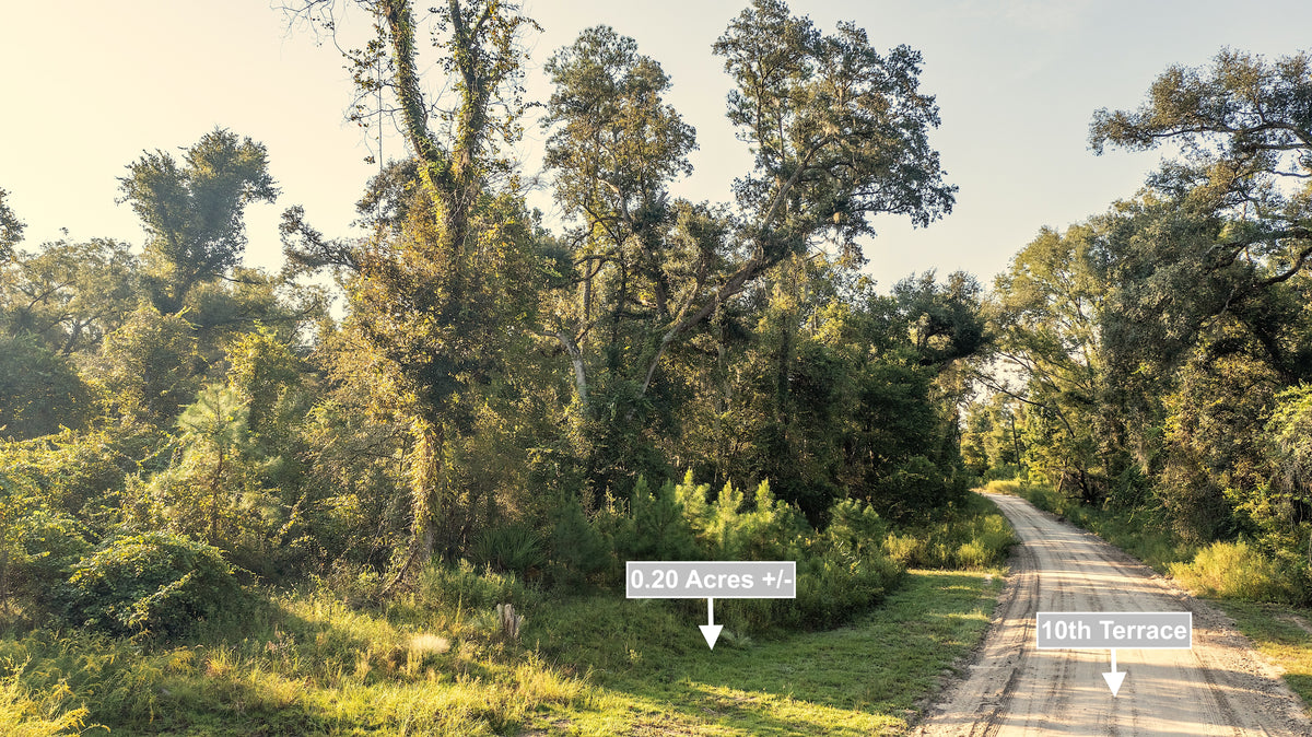 0.20 Acres Land For Sale Near Lake In Live Oak