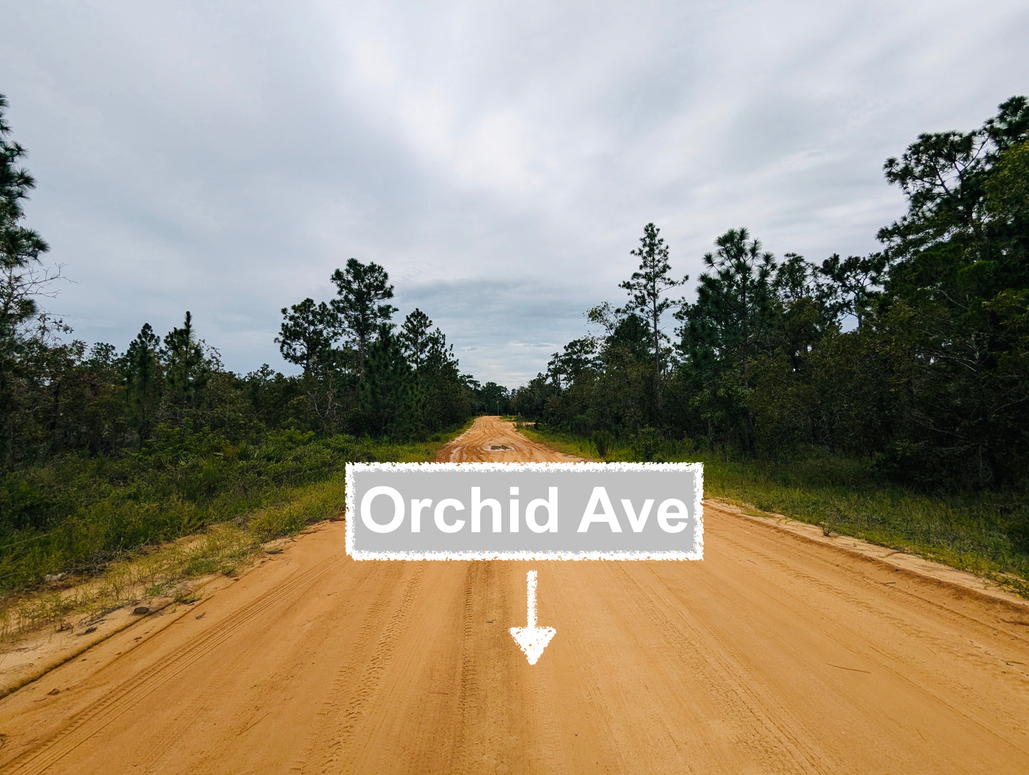 0.46 Acres Of Land In Interlachen