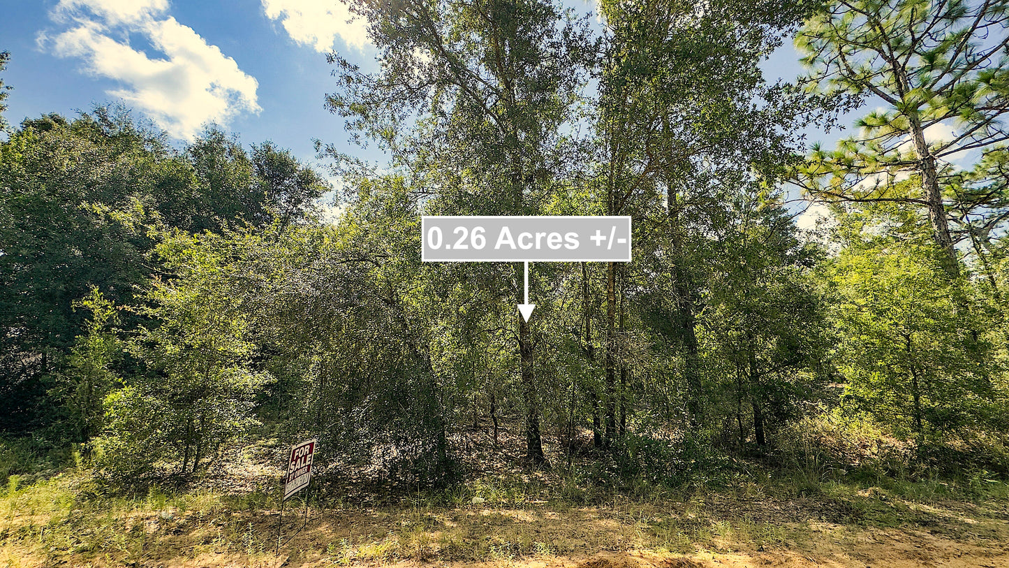 0.26 Acres Of Land For Sale In Interlachen