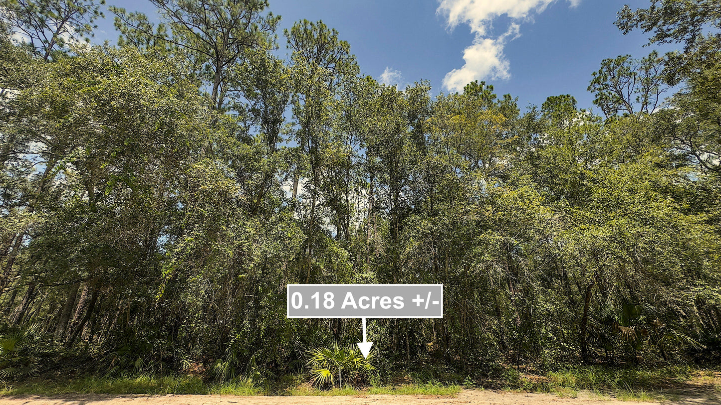 0.18 Acres Of Land for Sale In Fort McCoy