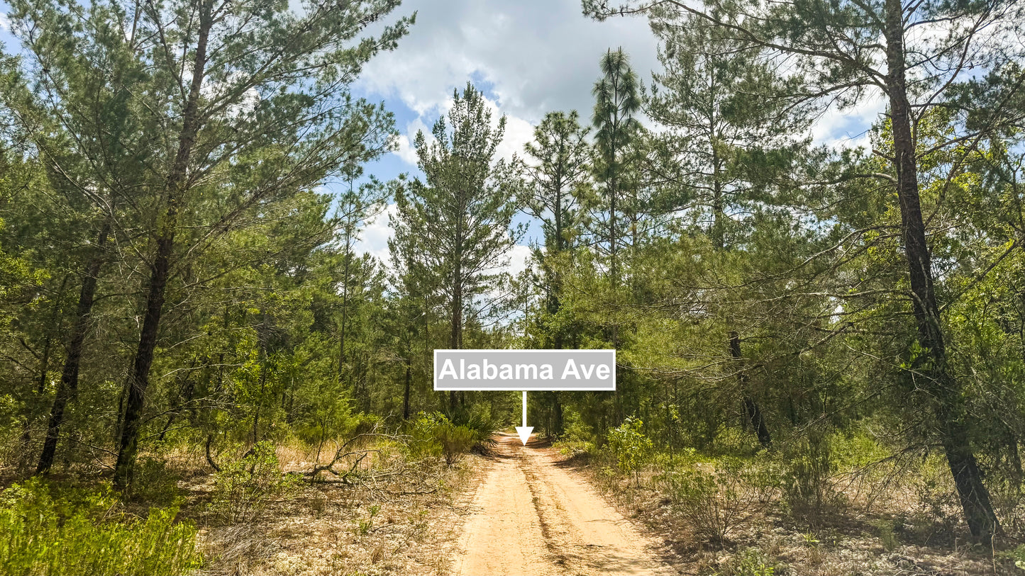 0.38 Acres Of Land In Hawthorne