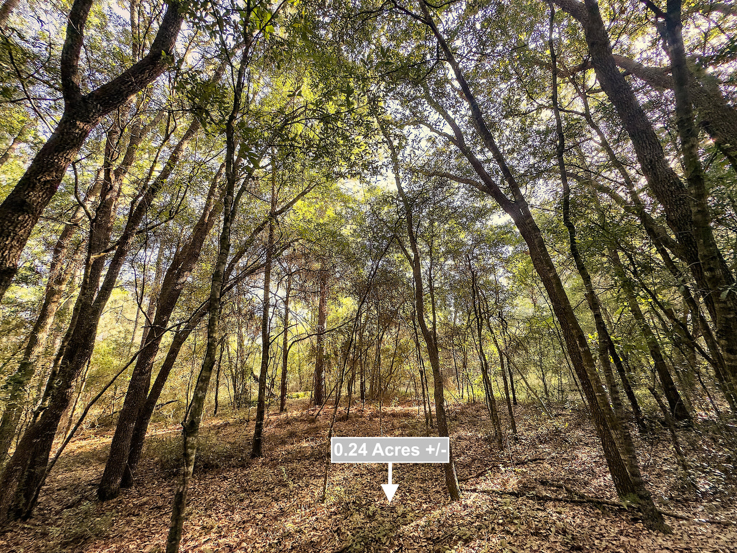 0.24 Acres Land For Sale In Dunnellon