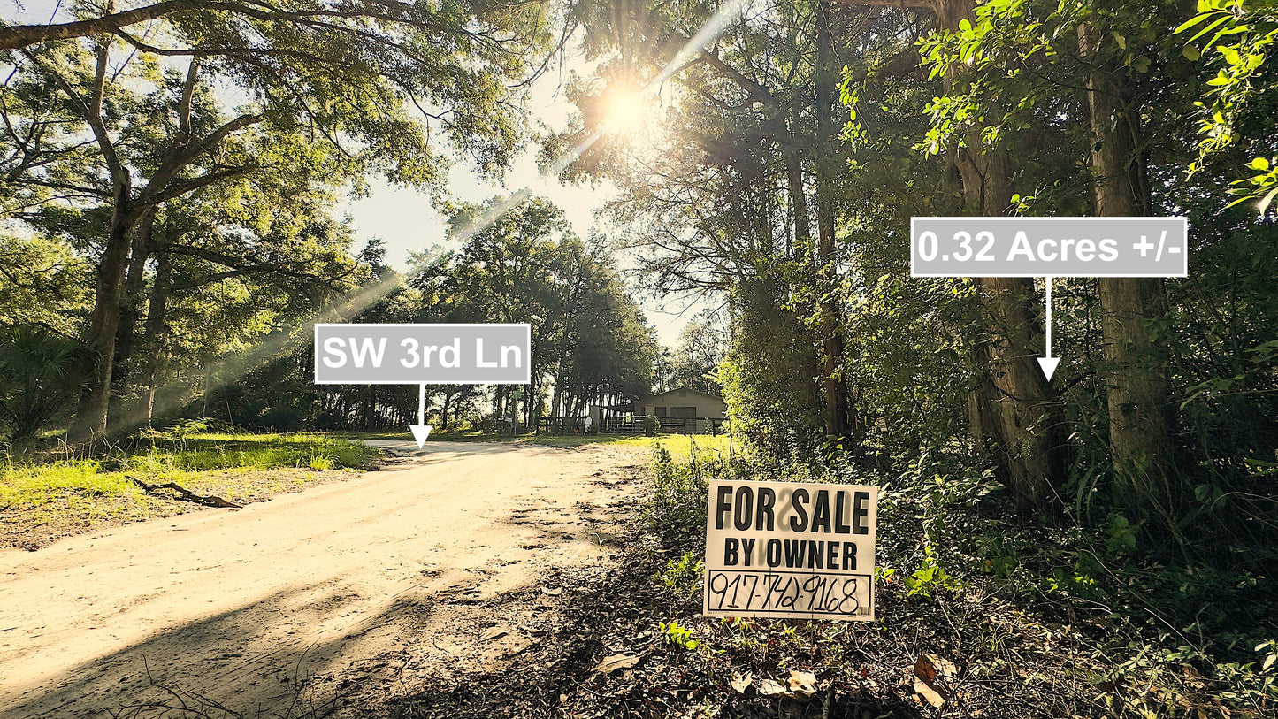 0.32 Acres Land For Sale In Ocala
