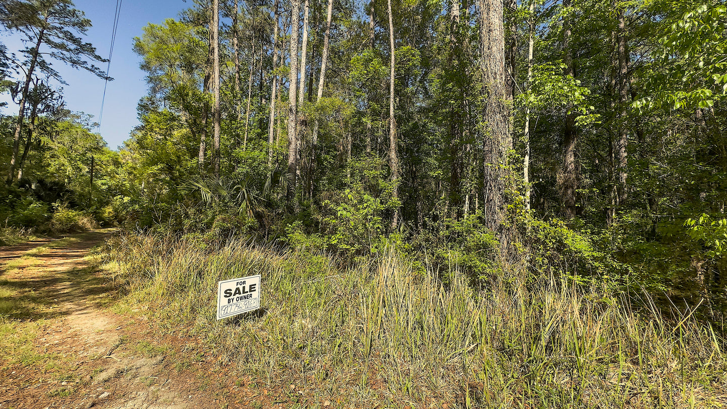 0.36 Acres Land For Sale In Ocala FL