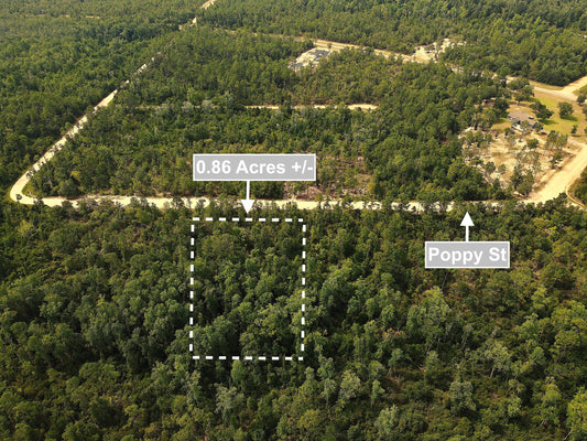 0.86 Acres Land For Sale In Marianna