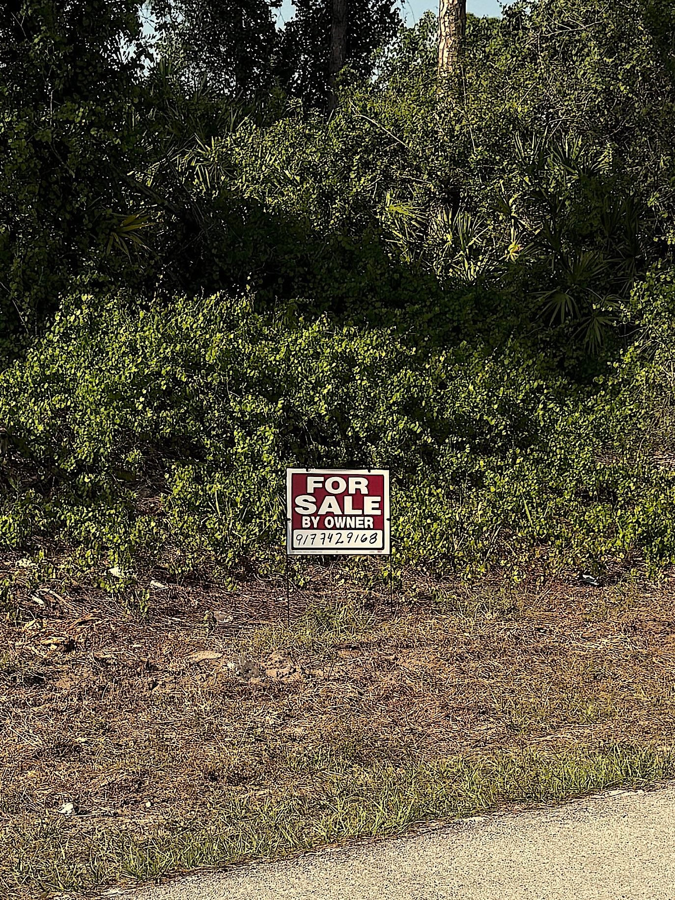 0.23 Acres Canalfront Lot For Sale In Lehigh Acres