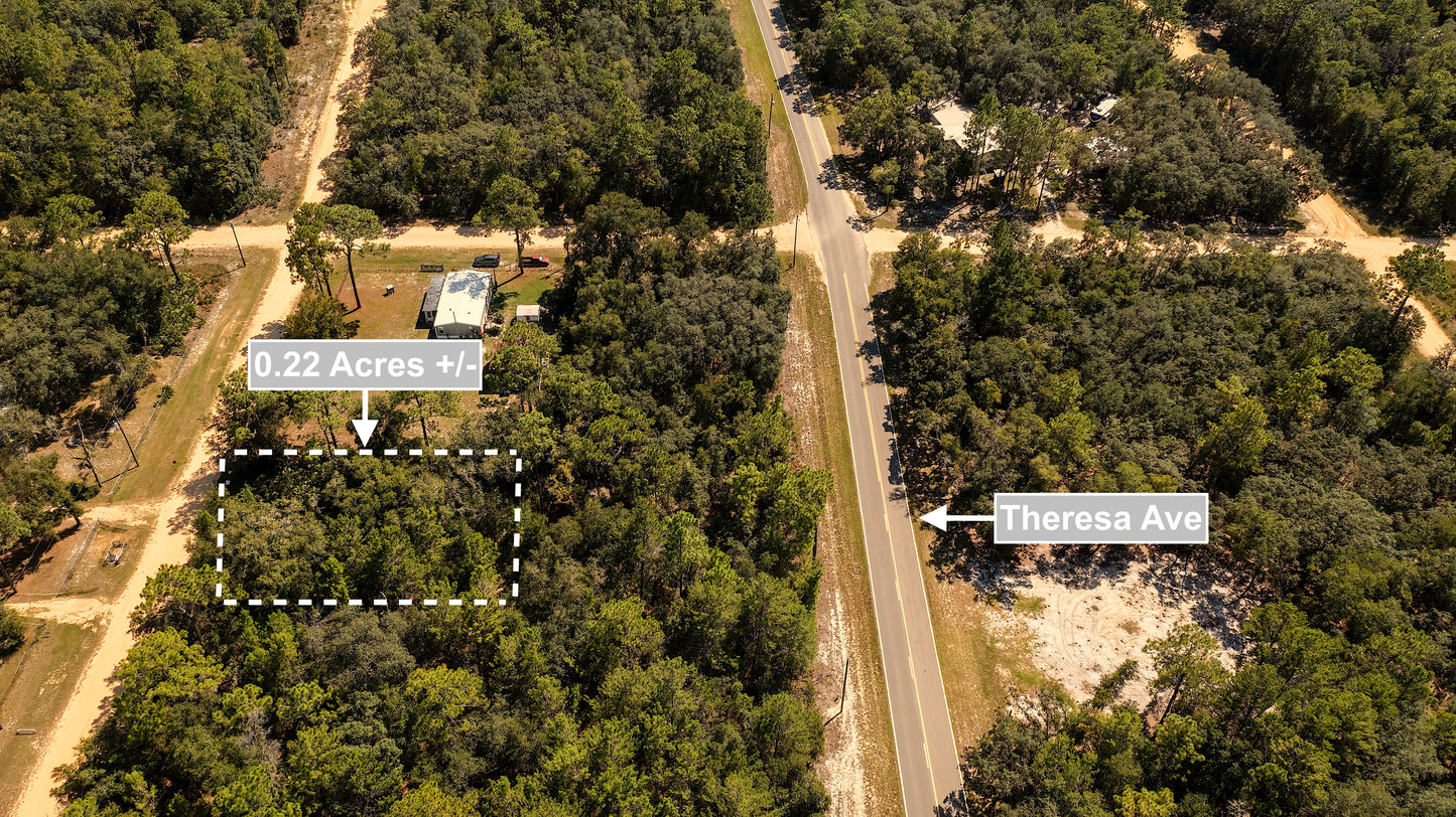 0.22 Acres Land For Sale In Interlachen