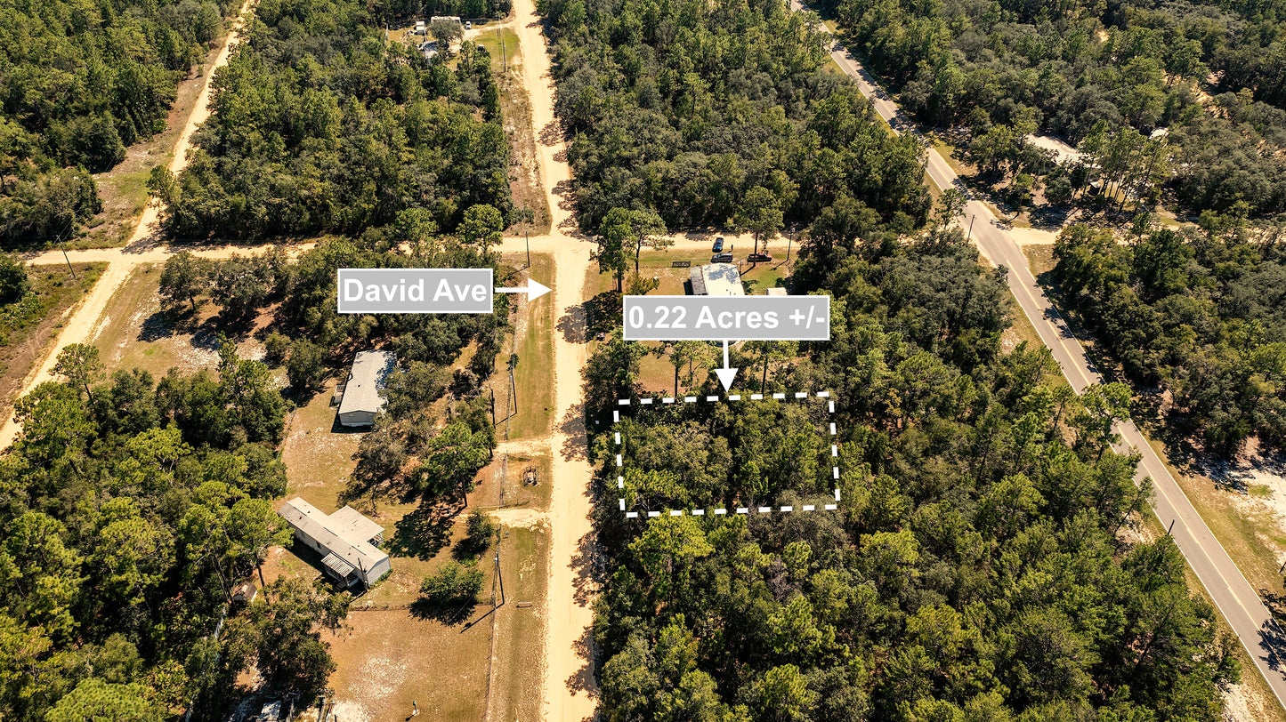 0.22 Acres Land For Sale In Interlachen