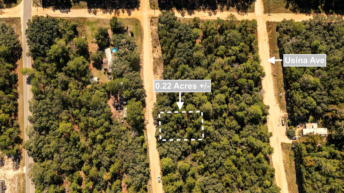 0.22 Acres Land (Near Paved Road) For Sale In Interlachen