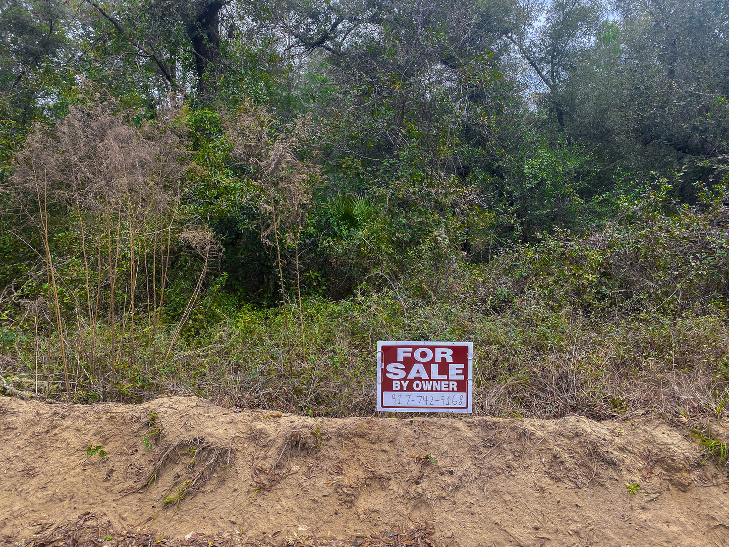 0.43 Acres Of Land In Interlachen