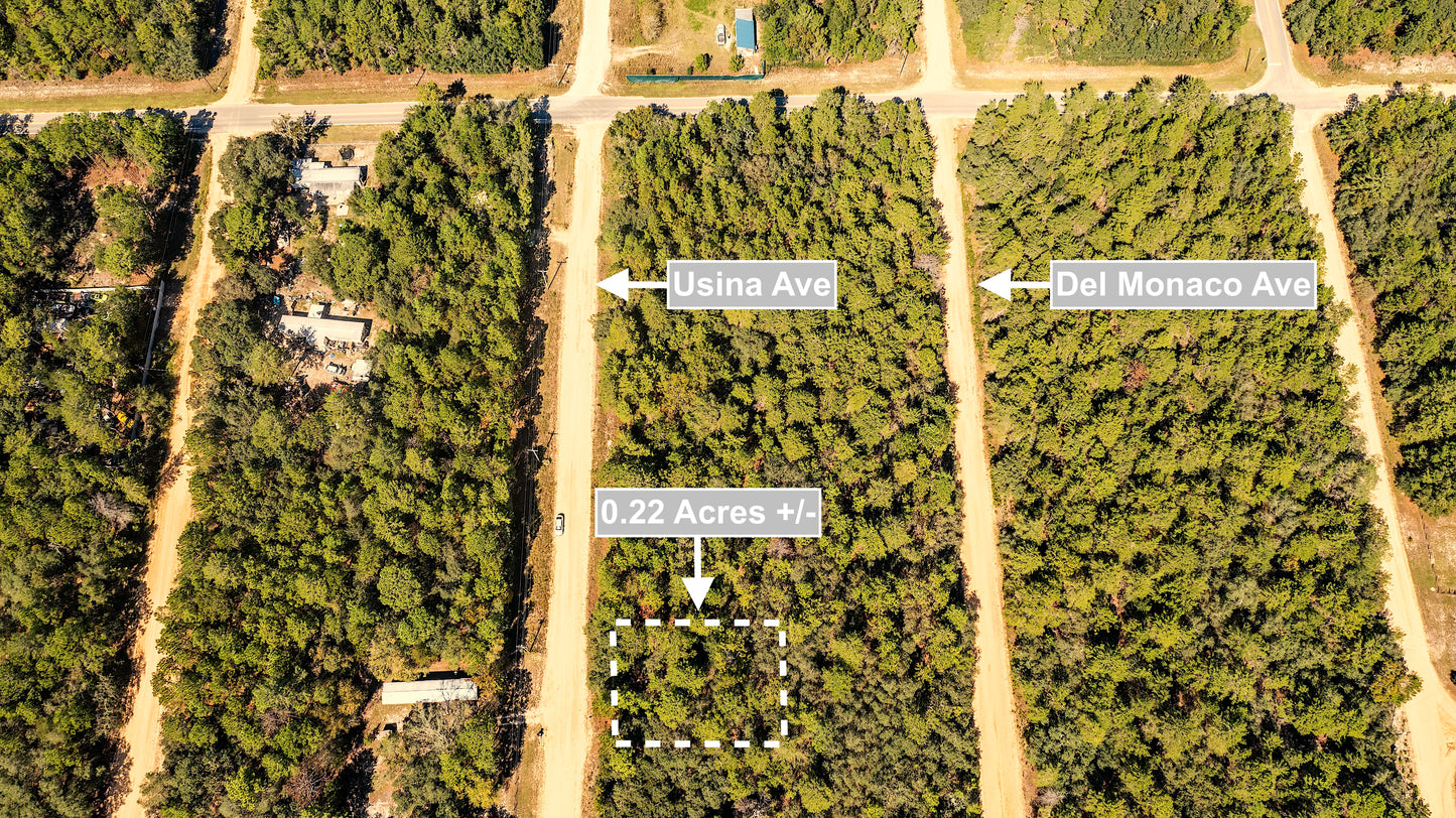 0.22 Acres Land Near Paved Road For Sale In Interlachen