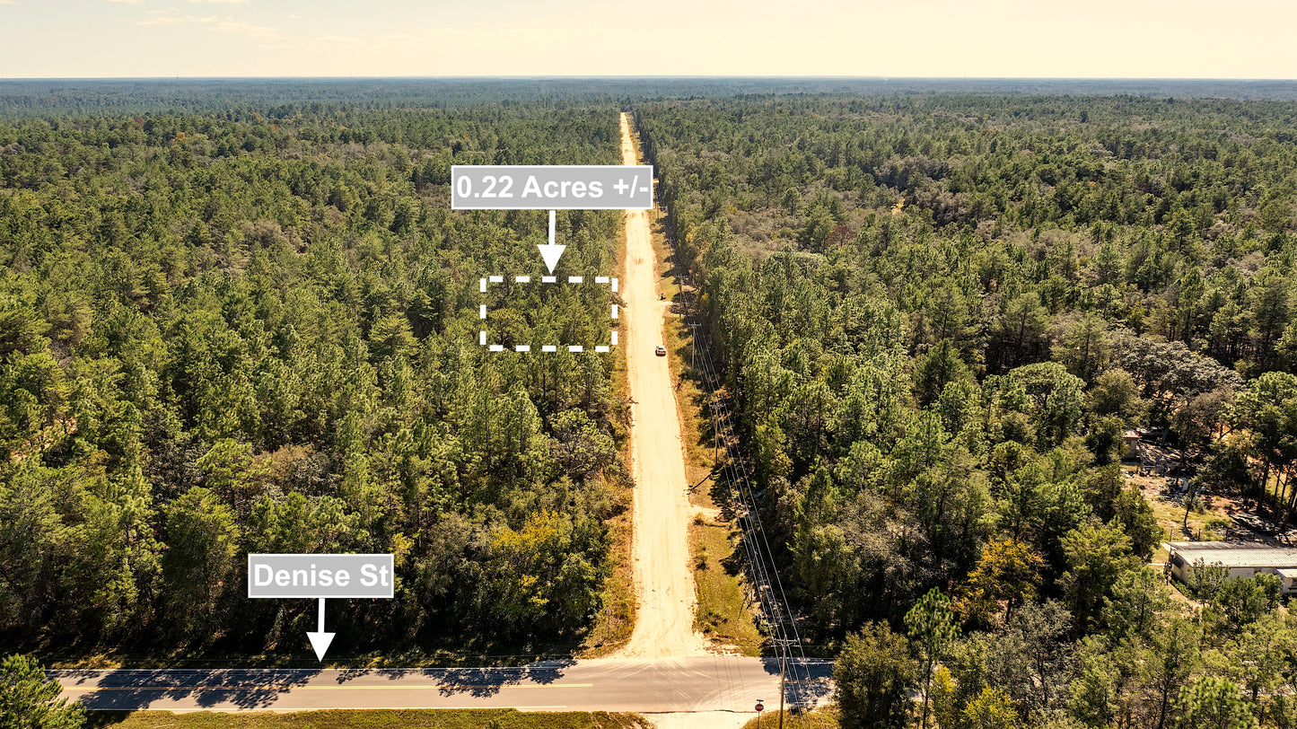 0.22 Acres Land Near Paved Road For Sale In Interlachen