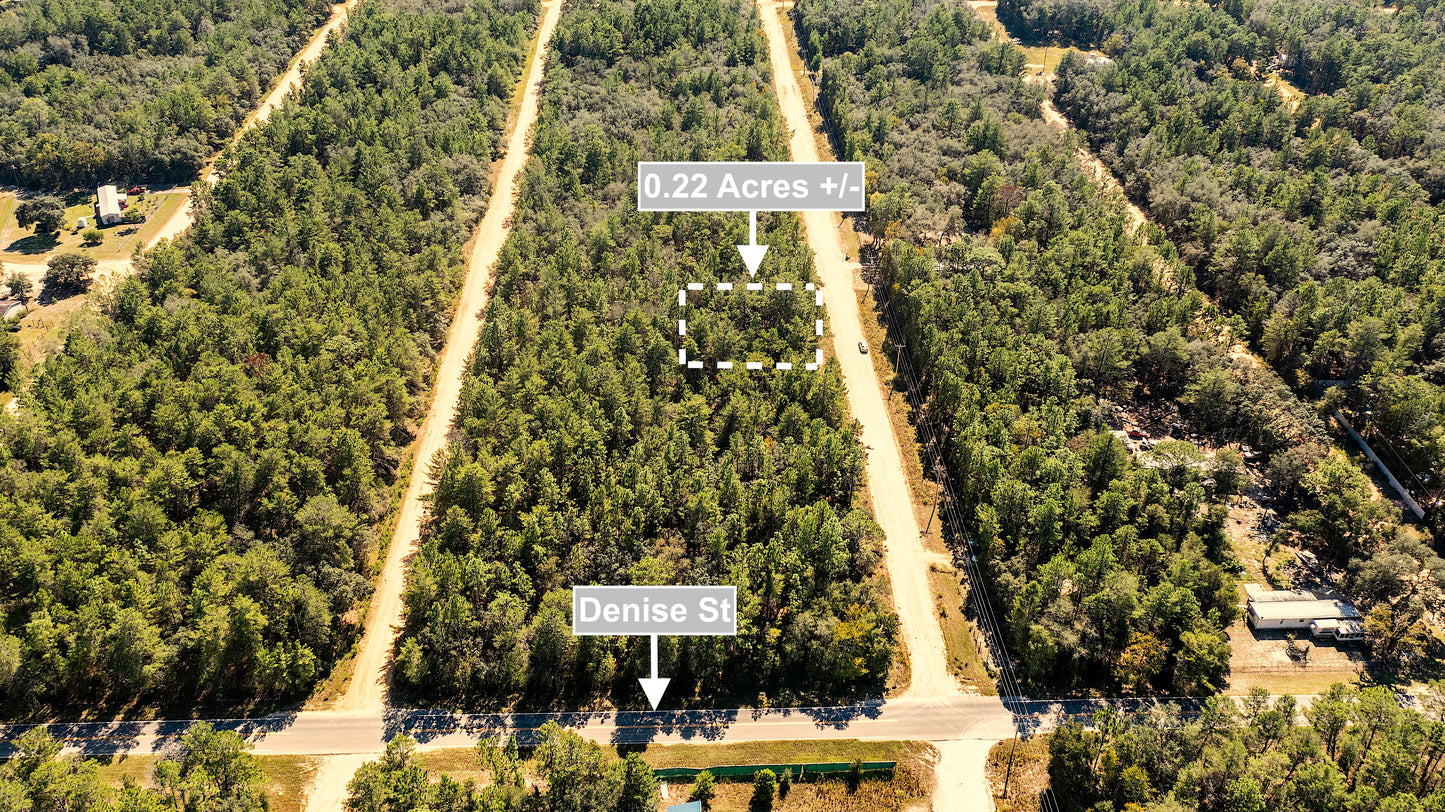 0.22 Acres Land Near Paved Road For Sale In Interlachen