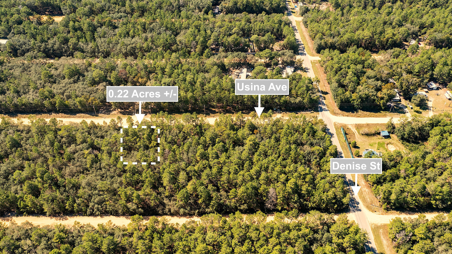 0.22 Acres Land Near Paved Road For Sale In Interlachen