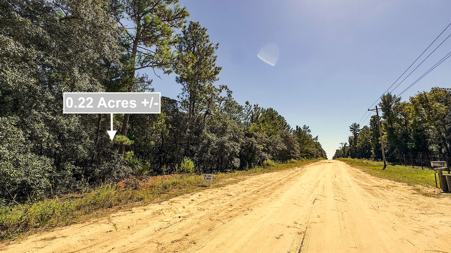 0.22 Acres Land Near Paved Road For Sale In Interlachen