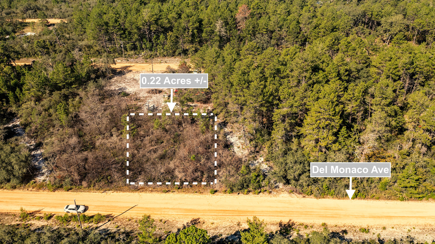 0.22 Acres Land For Sale In Interlachen