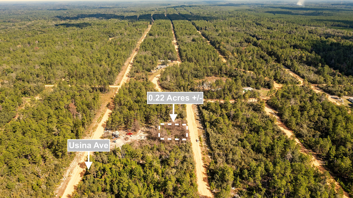 0.22 Acres Land For Sale In Interlachen