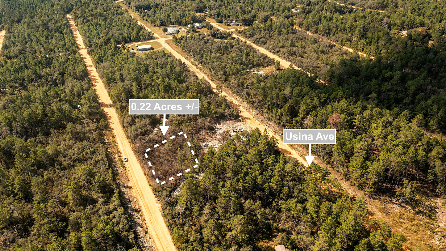 0.22 Acres Land For Sale In Interlachen