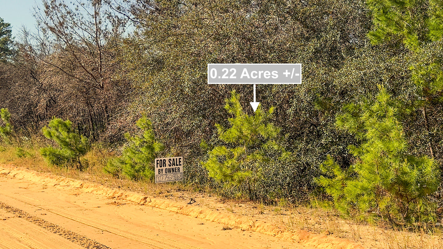 0.22 Acres Land For Sale In Interlachen