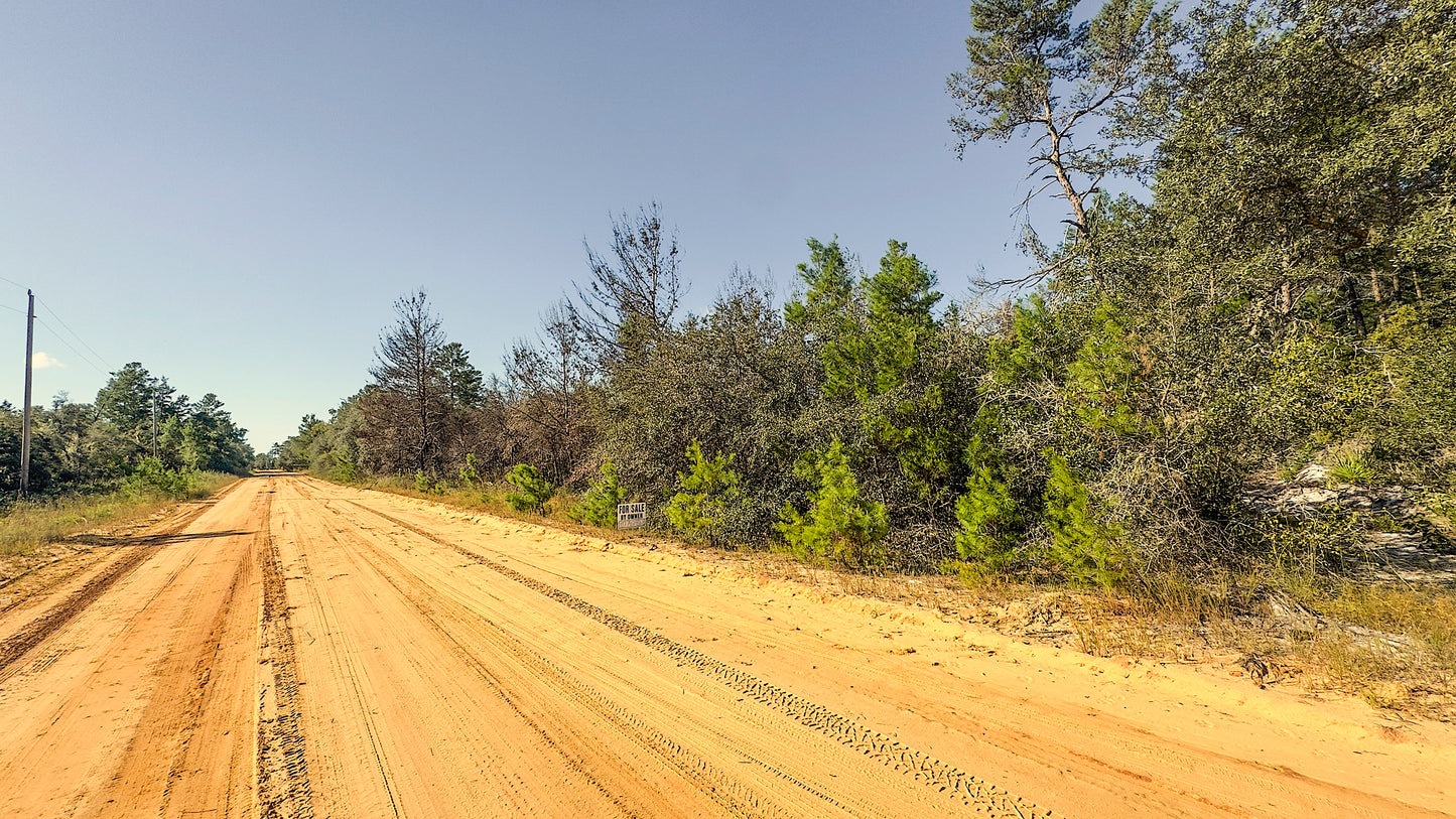 0.22 Acres Land For Sale In Interlachen