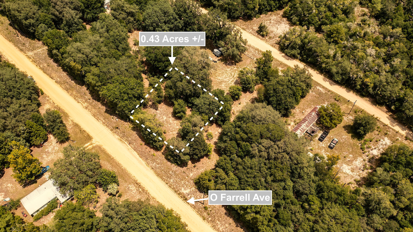 0.43 Acres Land For Sale In Interlachen