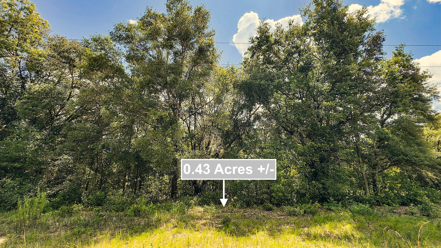 0.43 Acres Land For Sale In Interlachen