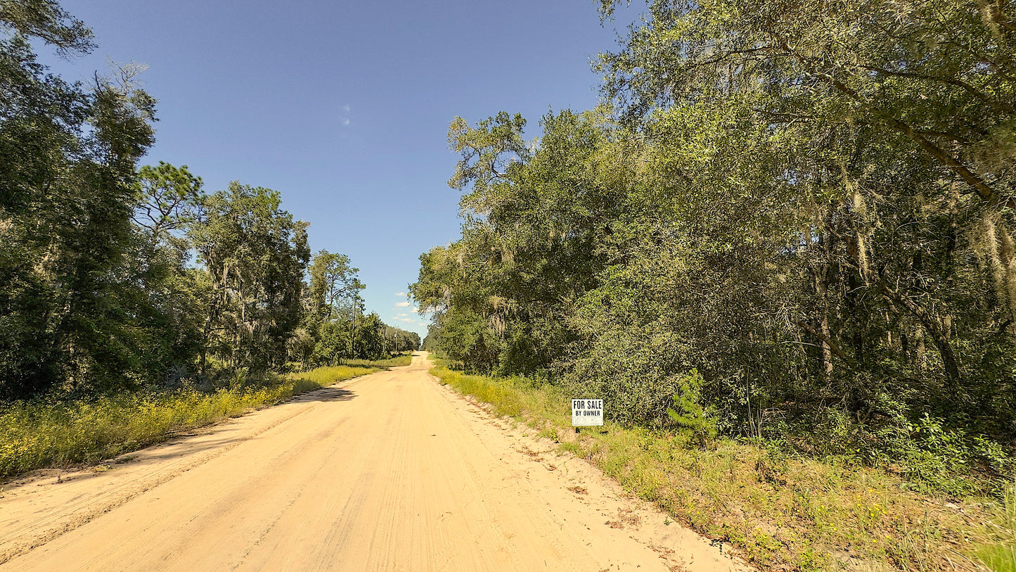 0.22 Acres Land Next To Paved Road For Sale In Interlachen