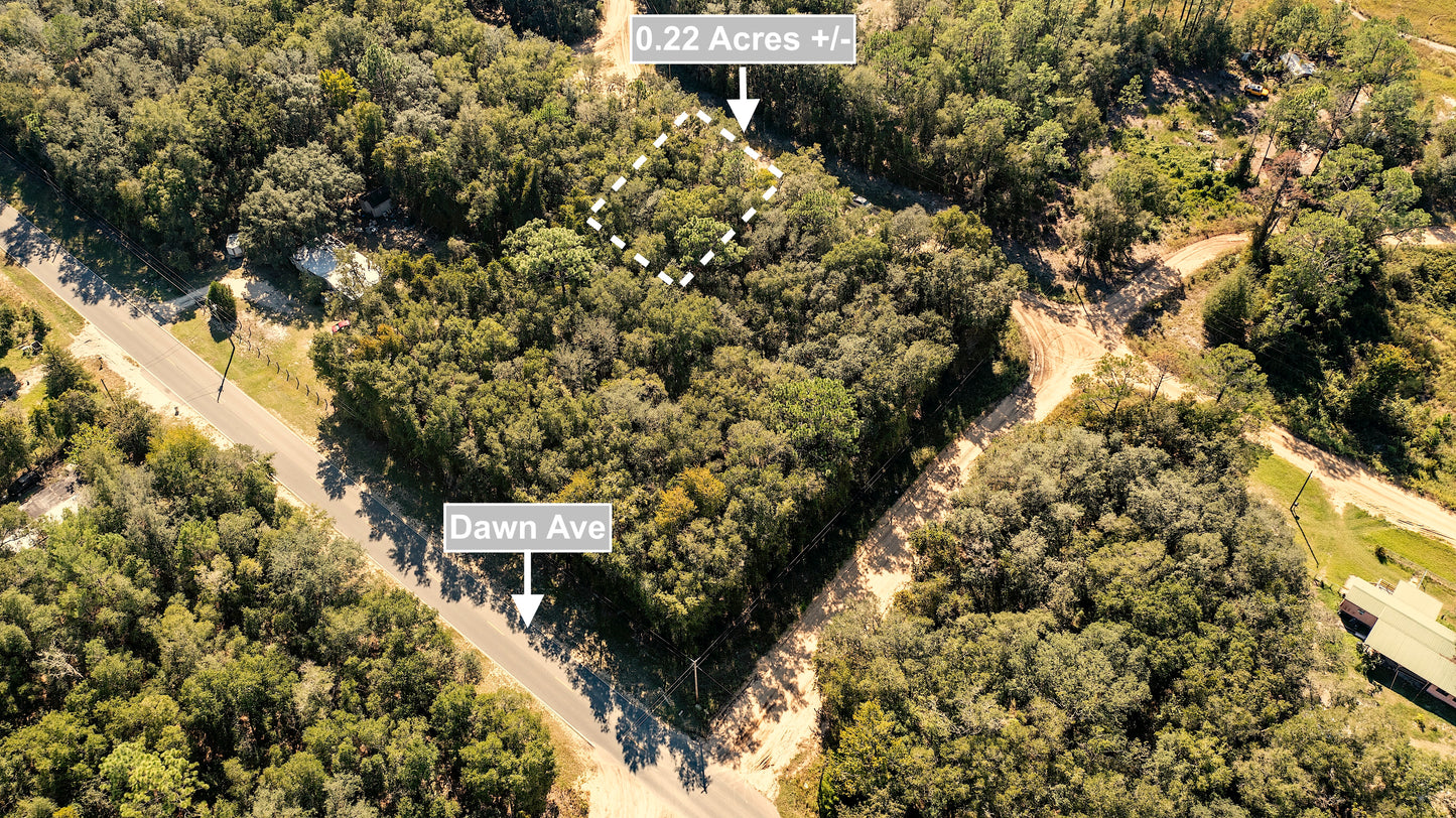 0.22 Acres Land Next To Paved Road For Sale In Interlachen