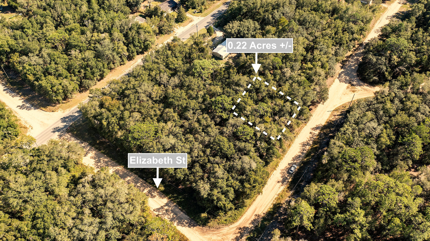 0.22 Acres Land Next To Paved Road For Sale In Interlachen