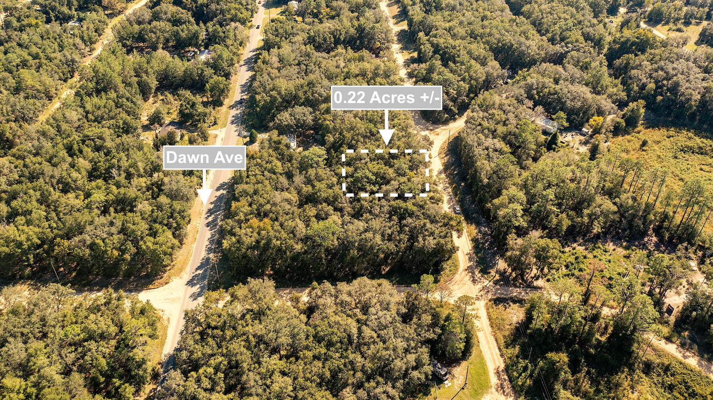 0.22 Acres Land Next To Paved Road For Sale In Interlachen