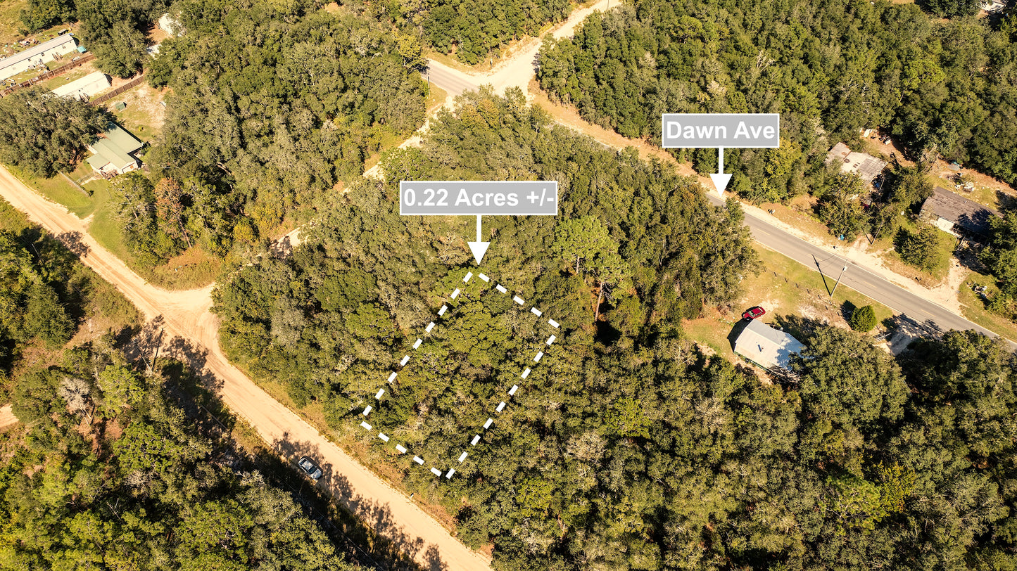 0.22 Acres Land Next To Paved Road For Sale In Interlachen
