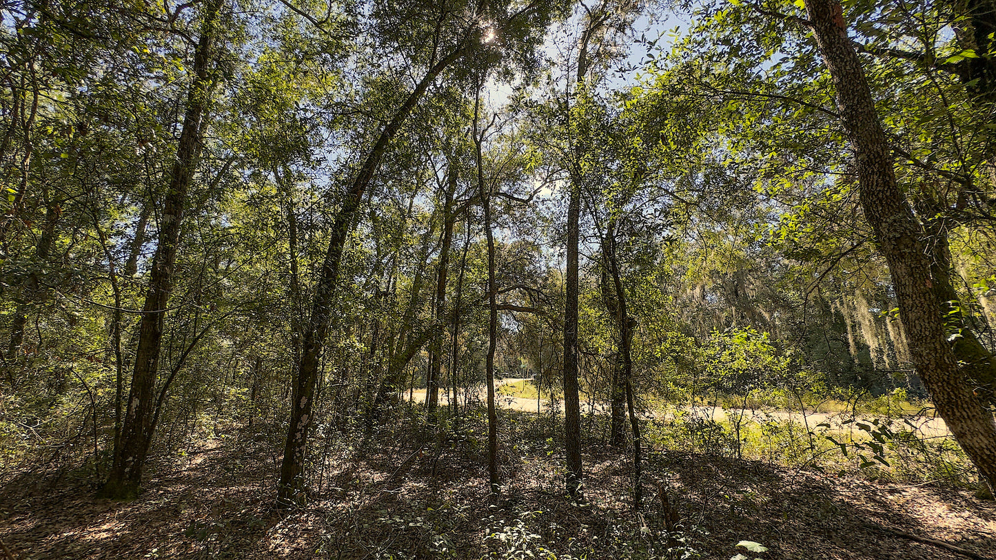 0.22 Acres Land Next To Paved Road For Sale In Interlachen