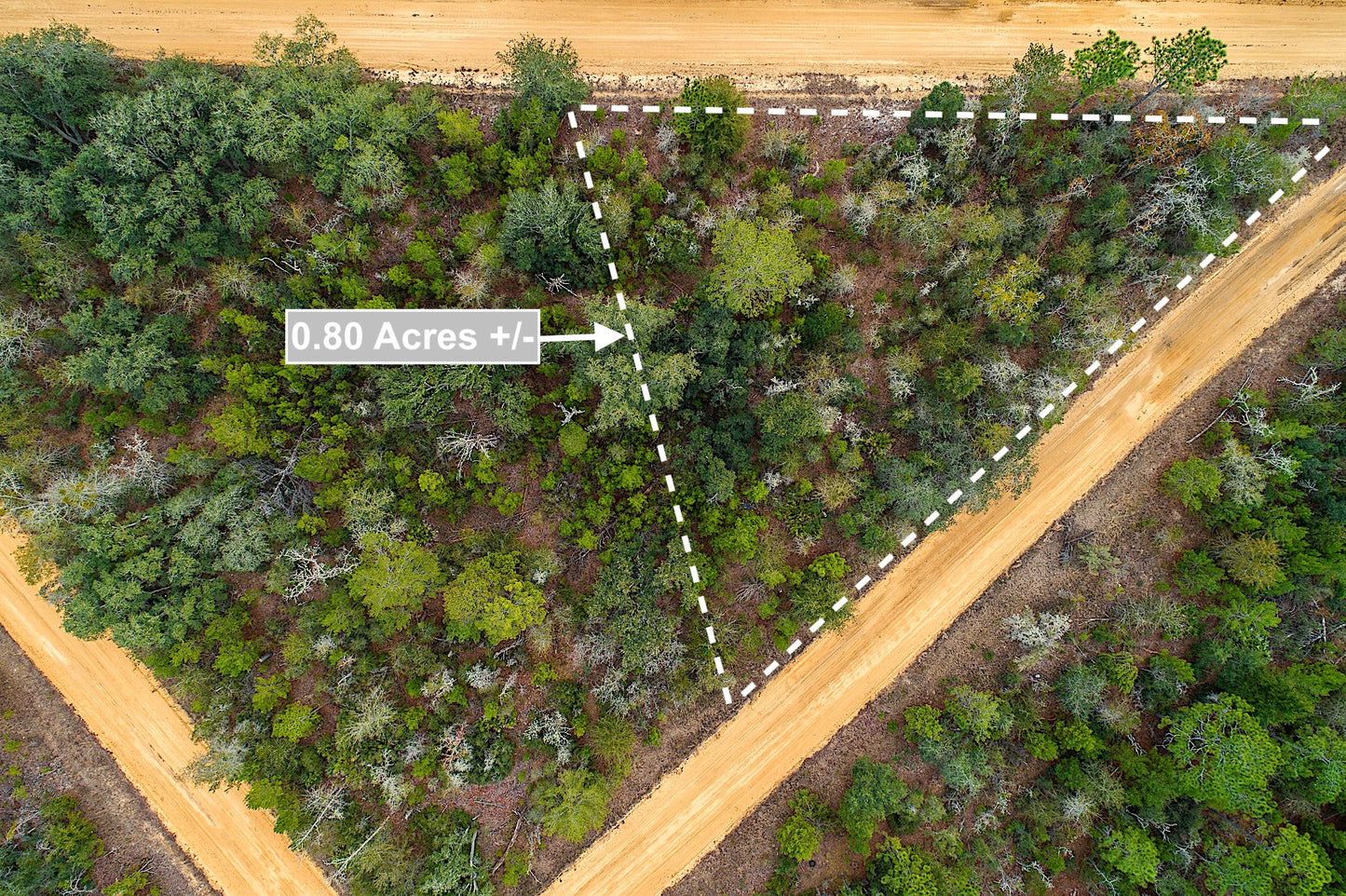 0.80 Acres Corner Lot In Interlachen