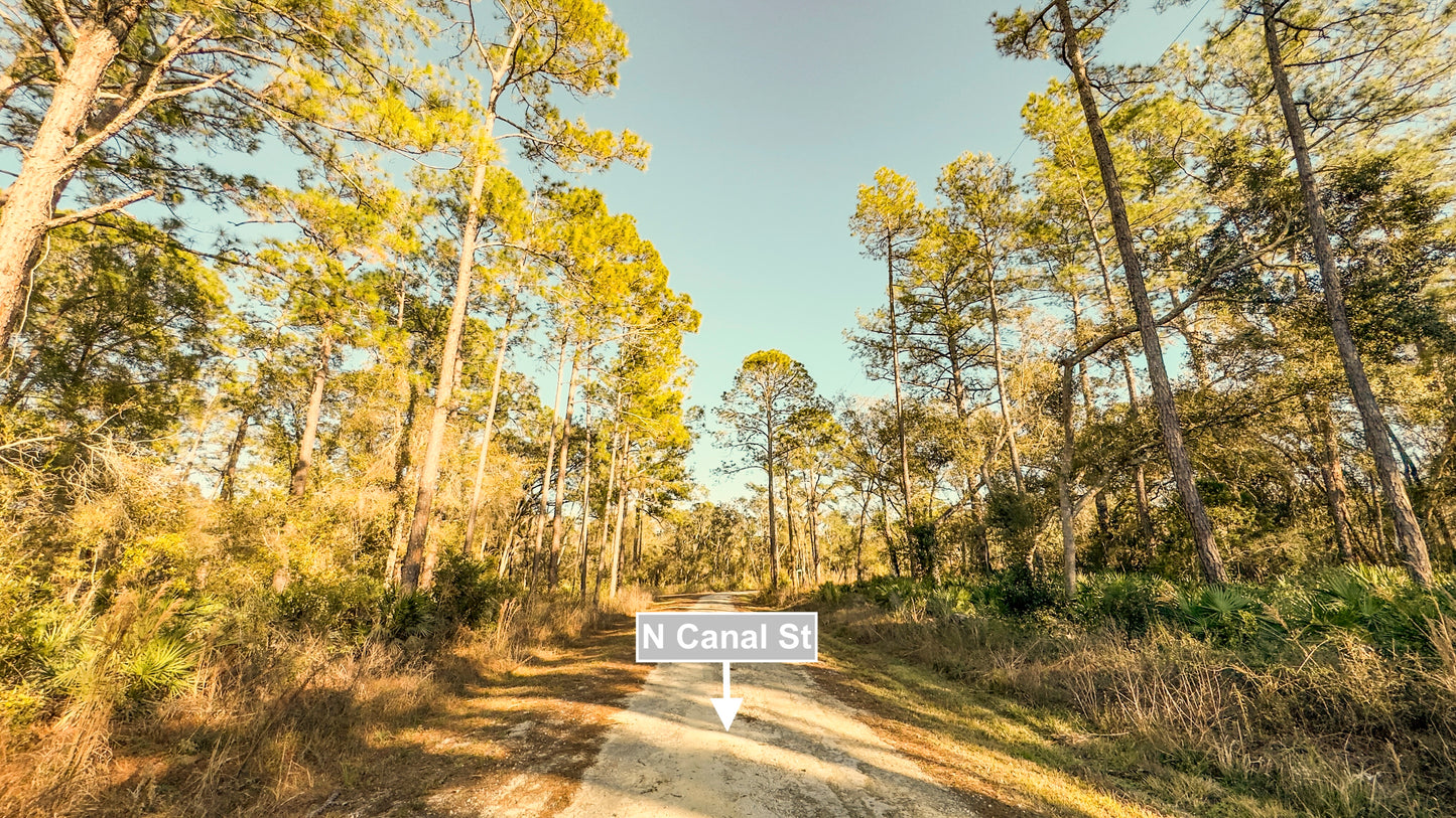 0.54 Acres Land In Webster