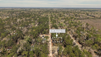 0.11 Acres Land For Sale In Crawfordville FL