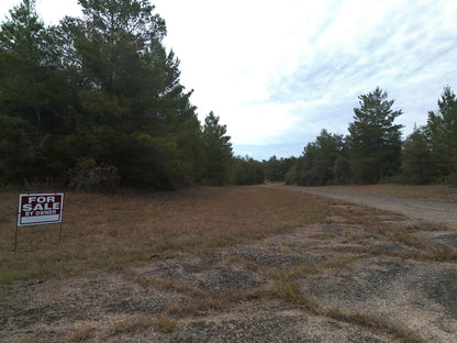 0.32 Acres Land For Sale In Chipley