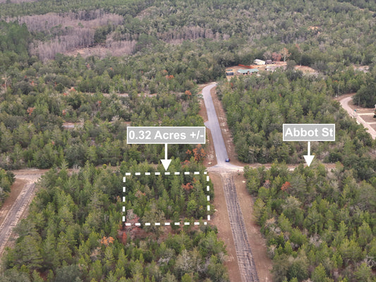 0.32 Acres Land For Sale In Chipley