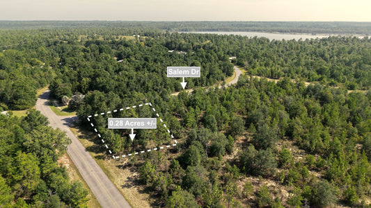 0.28 Acres Land For Sale In Chipley