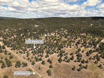 1.47 Acres Land In Alturas CA