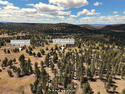 1.47 Acres Land In Alturas CA