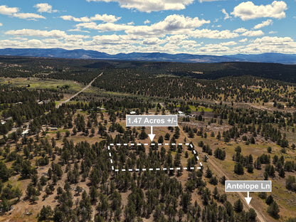 1.47 Acres Land In Alturas CA