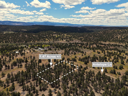 1.47 Acres Land In Alturas CA