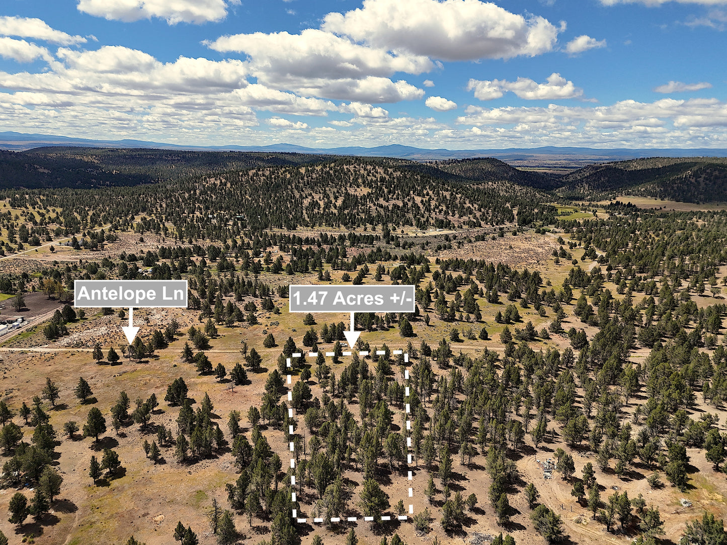 1.47 Acres Land In Alturas CA