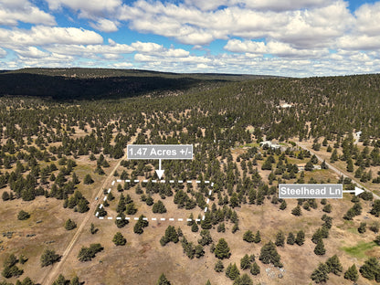 1.47 Acres Land In Alturas CA