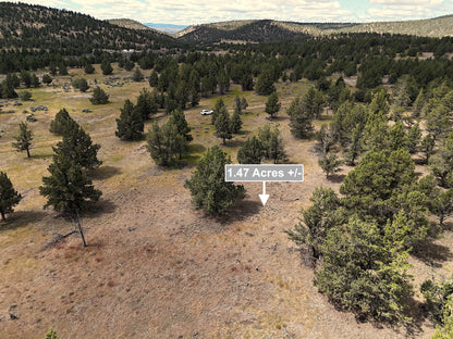 1.47 Acres Land In Alturas CA