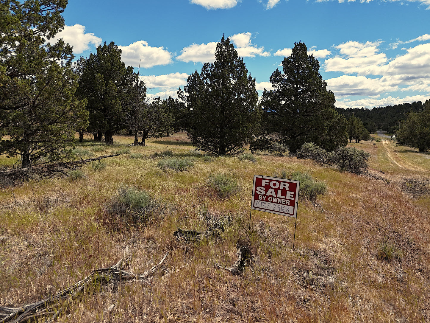 1.47 Acres Land In Alturas CA