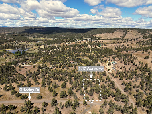 1.47 Acres Land For Sale In Alturas CA